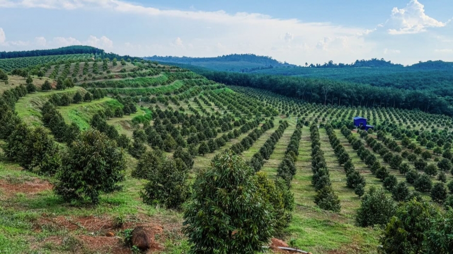 Đồng Nai tái cơ cấu nông nghiệp chú trọng ứng dụng công nghệ cao