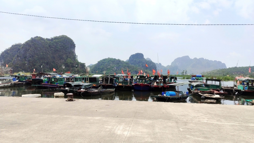 Quảng Ninh xoá tàu cá “3 không”, chung tay gỡ thẻ vàng IUU