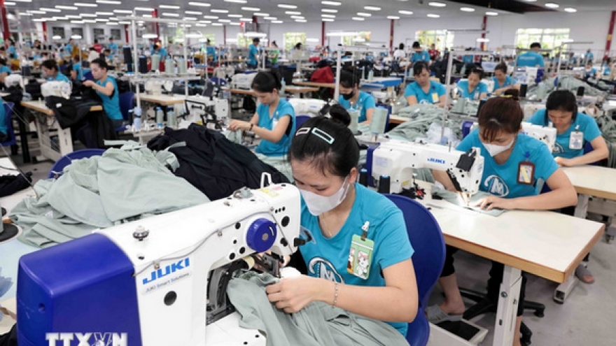 Vietnam – Algeria: New drivers for bilateral trade relations