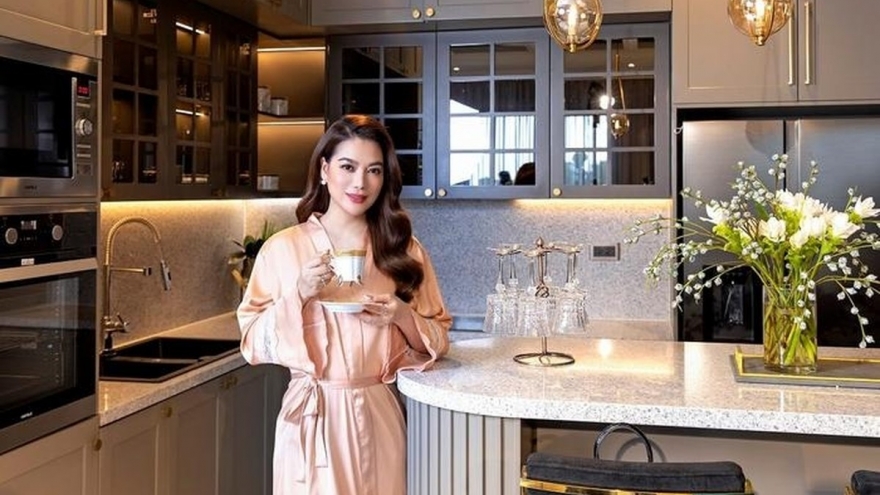 Trương Ngọc Ánh từng sống trong penthouse 300m2 và sở hữu xe sang 3 tỷ