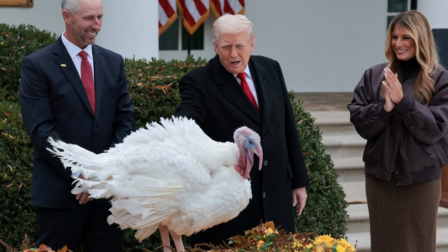 Tổng thống Trump ân xá cho hai chú gà tây, bắt đầu các hoạt động của lễ Tạ ơn
