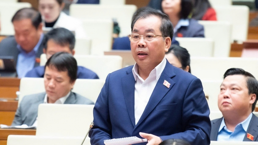 ĐBQH kiến nghị xem xét lại sự tồn tại của cơ sở giáo dục đại học vùng