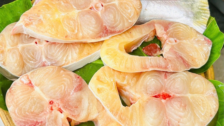 Loài cá vảy trong suốt, tên nghe như hoa giúp nông dân miền Tây “hốt bạc”