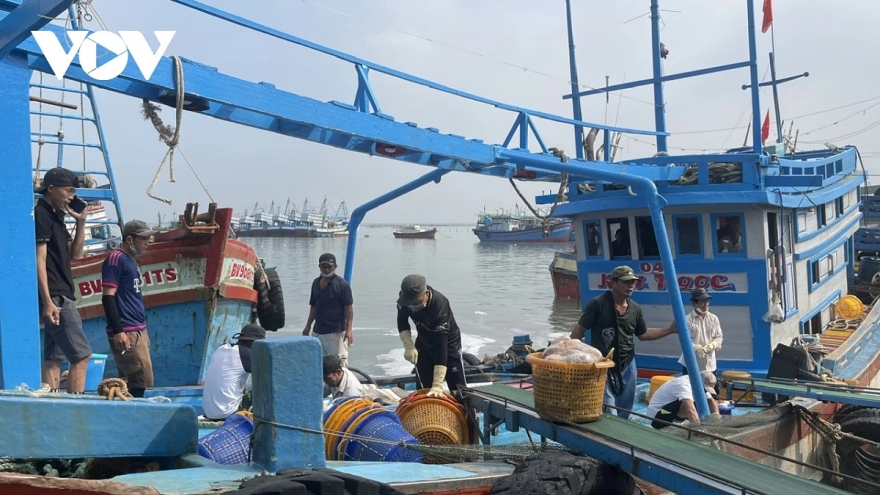 Vietnam steps up anti-IUU efforts, determined to lift EU “yellow card”