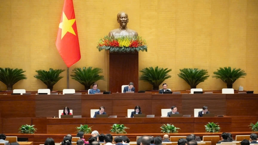 National Assembly debates amendments to Intellectual Property Law