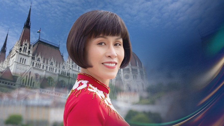 Overseas Vietnamese contributes ideas for nation's rapid, sustainable development