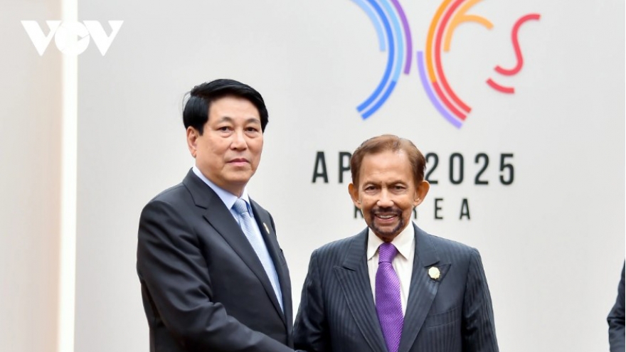 Vietnam, Brunei look to closer cooperation during Sultan’s State visit