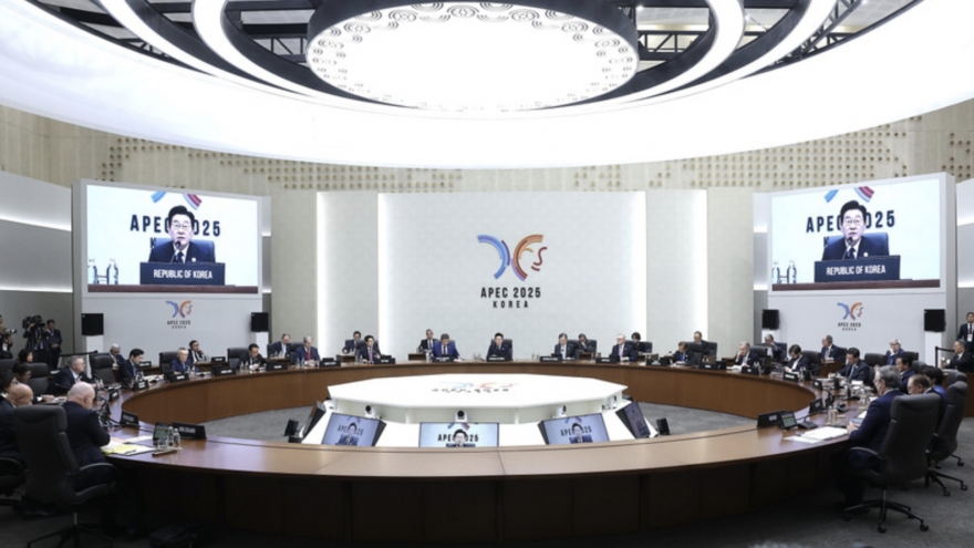 Vietnam’s participation contributes to success of APEC Economic Leaders’ Week