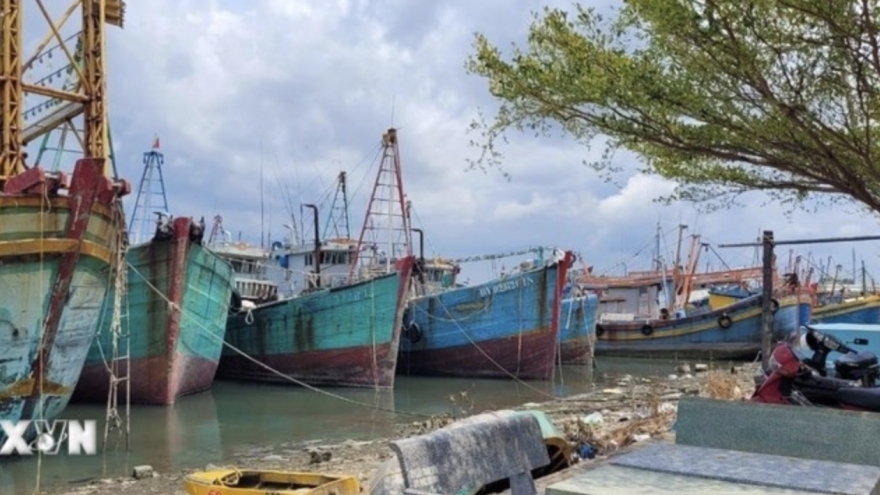 Ho Chi Minh City steps up crackdown on IUU fishing violations