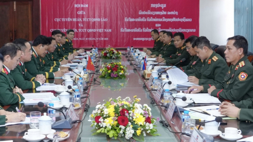 Vietnamese, Lao armies discuss political education