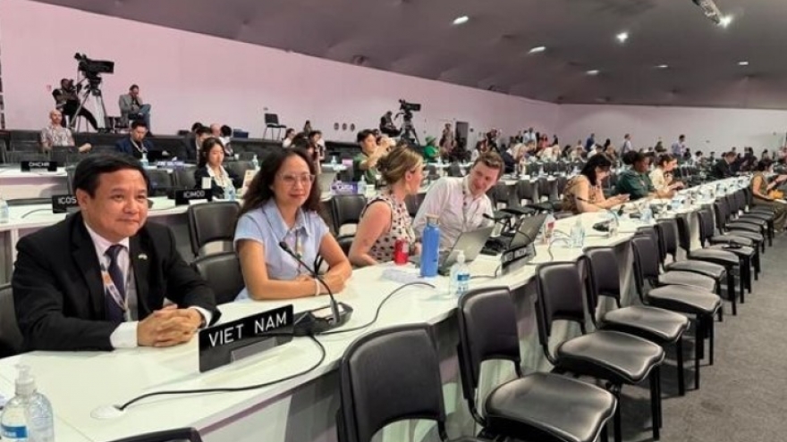 Vietnam participates in parliamentary meeting at COP30