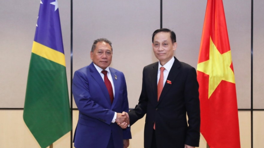 Vietnam treasures relations with Solomon Islands: FM