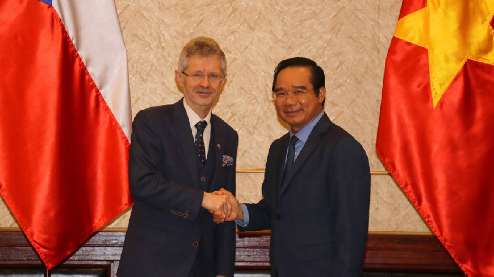 HCM City seeks to boost multifaceted cooperation with Czech Republic