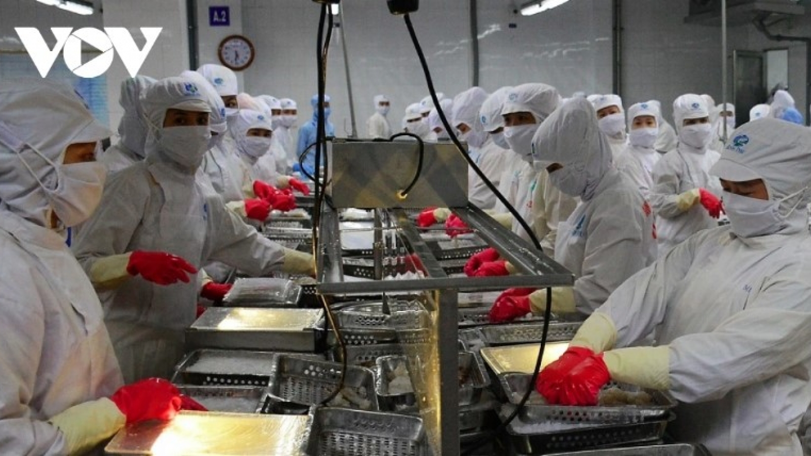 Seafood exports projected to fall sharply in Q4 amid US tariff imposition