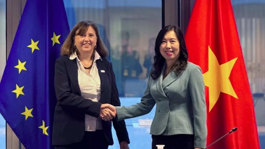 Vietnam, EU hold sixth Joint Committee’s session to advance partnership