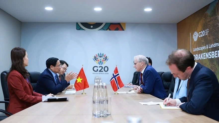 Vietnamese PM meets with German, Egyptian, Norwegian counterparts in Johannesburg