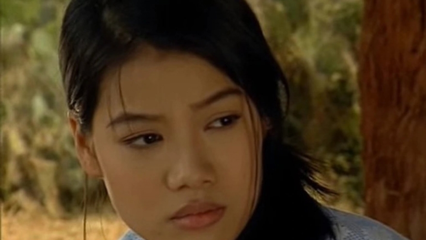 6 vai diễn của diễn viên Trương Ngọc Ánh trước khi bị bắt