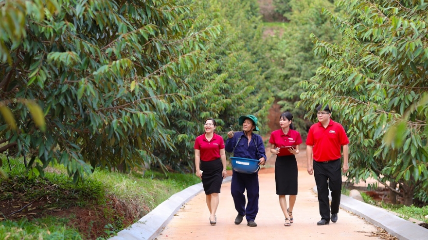 Agribank xanh hóa tín dụng – “Cầu nối” để phát triển năng lượng xanh tại Việt Nam