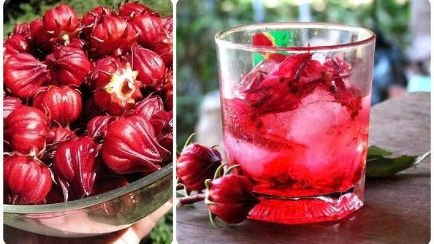 Uống atiso hàng ngày có thực sự tốt cho sức khỏe?