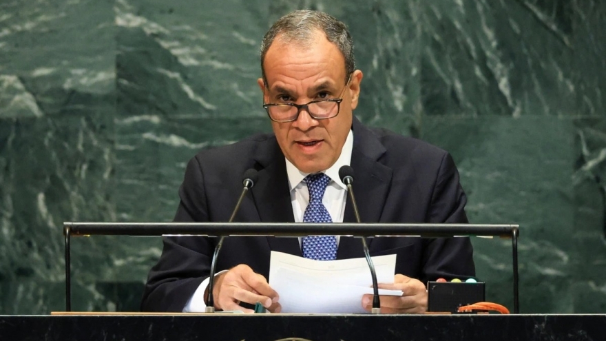 Ngoại trưởng Ai Cập và Nga điện đàm về tình hình Gaza, Sudan và vấn đề Iran