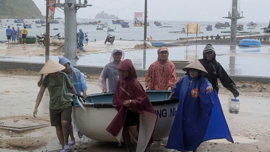 Xã đảo Nhơn Châu-Cù Lao Xanh sơ tán dân, sẵn sàng phương án ứng phó bão số 13