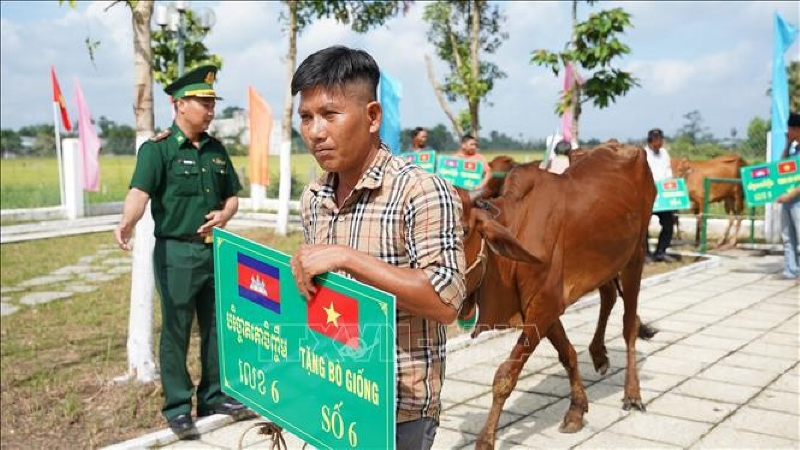 Breeding cows presented to poor households along Vietnam–Cambodia border
