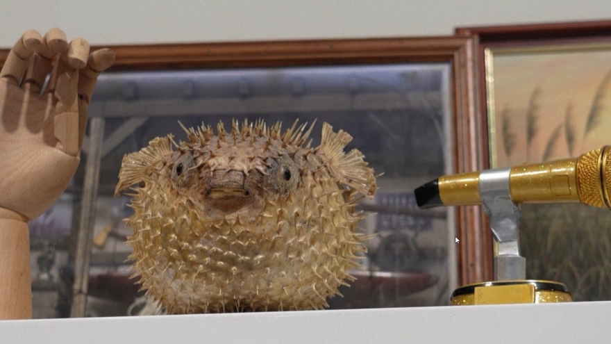 Những món đồ thú vị tại kho đồ thất lạc lớn nhất châu Âu tại London