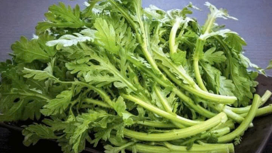 Cải cúc: Loại rau quen mà giàu lợi ích sức khỏe