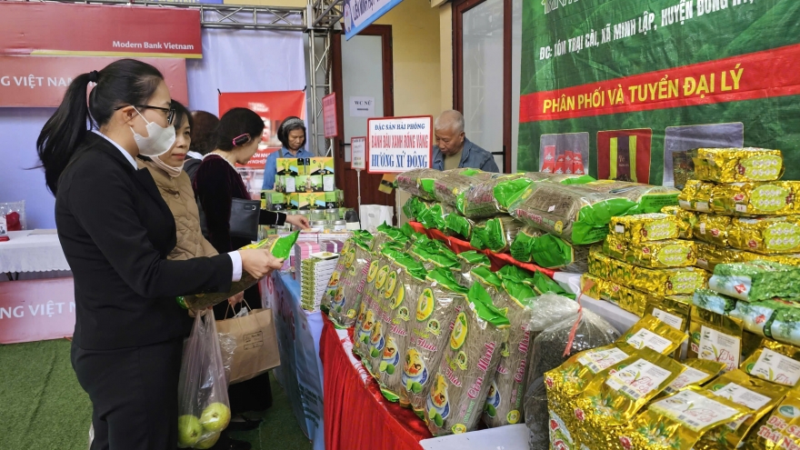 Hàng trăm sản phẩm OCOP vùng Đồng bằng sông Hồng ra mắt tại Hải Phòng