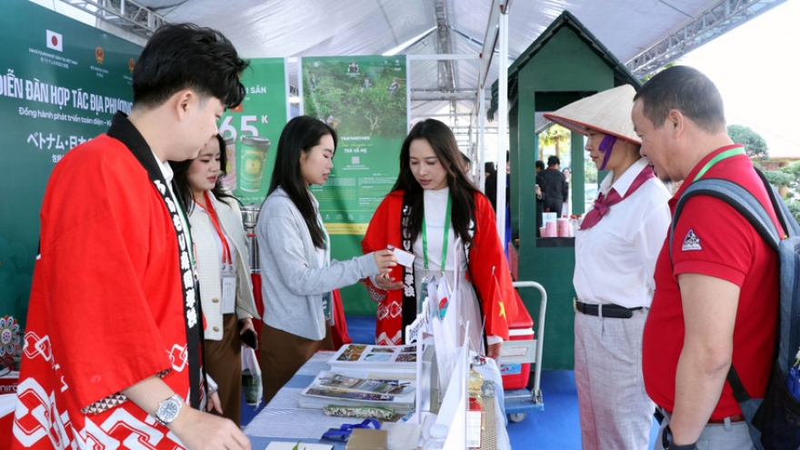 Vietnam–Japan exhibition fosters cultural exchange, strengthens local cooperation