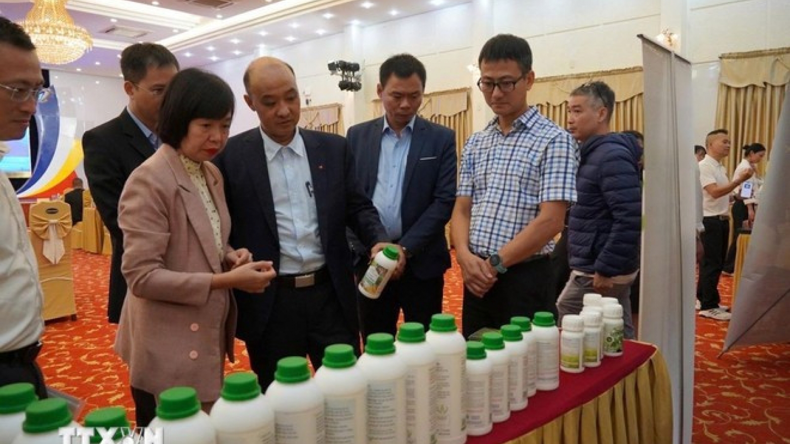 Da Nang enters global Top 1,000 startup ecosystems for first time