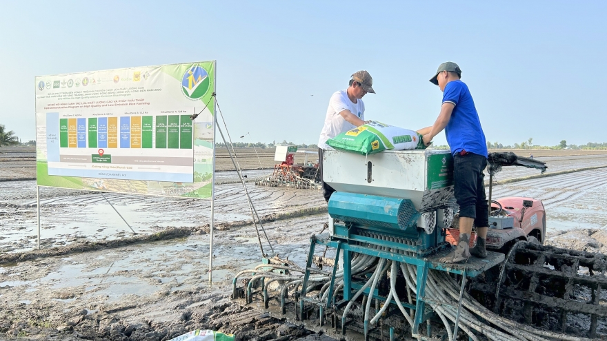 Hoàn thiện hạ tầng kỹ thuật cho đề án 1 triệu hecta lúa ở ĐBSCL