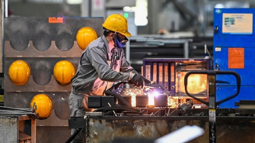 Hoàn thiện chính sách hỗ trợ phát triển doanh nghiệp tư nhân “sếu đầu đàn”