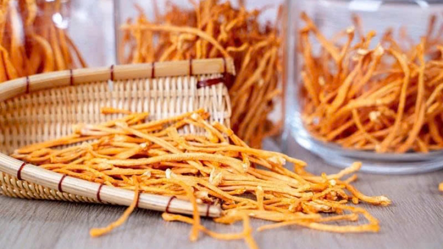 Đông trùng hạ thảo có nên uống thường xuyên?