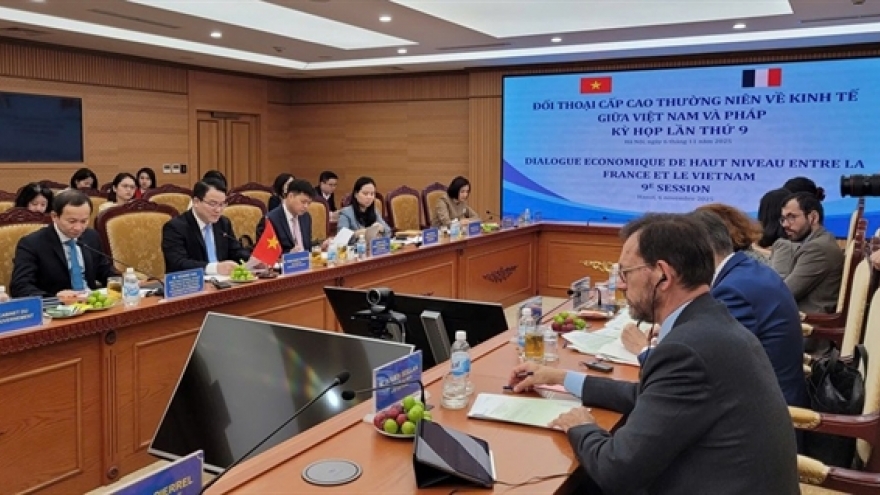 French investment to Vietnam to be promoted across many fields