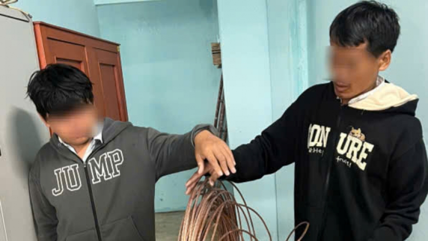 Bắt giữ 2 đối tượng chuyên trộm cắp dây cáp đồng