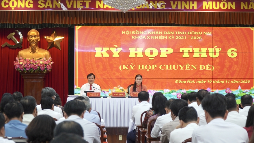 Đồng Nai xây dựng cầu Cát Lái và cầu Long Hưng, TP.HCM xây dựng cầu Phú Mỹ 2