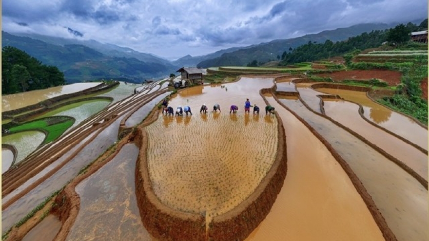 Vietnam Heritage Photo Awards 2025 launched