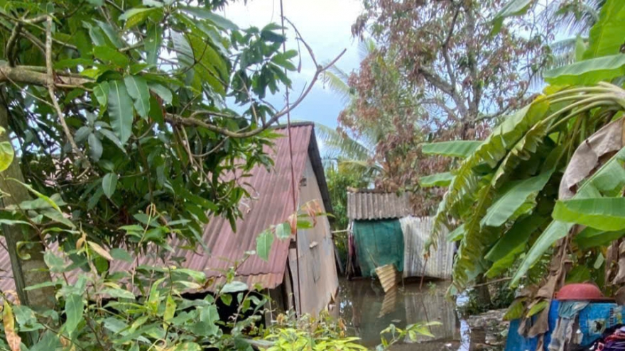 Hai mẹ con tại tỉnh Đồng Tháp tử vong do điện giật, hoàn cảnh rất khó khăn