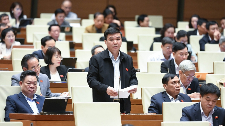 ĐBQH đề nghị cấm tuyệt đối hành vi ép buộc mua bảo hiểm khi vay vốn