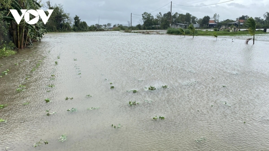 Mưa lũ ảnh hưởng nghiêm trọng hoạt động nuôi trồng thủy sản