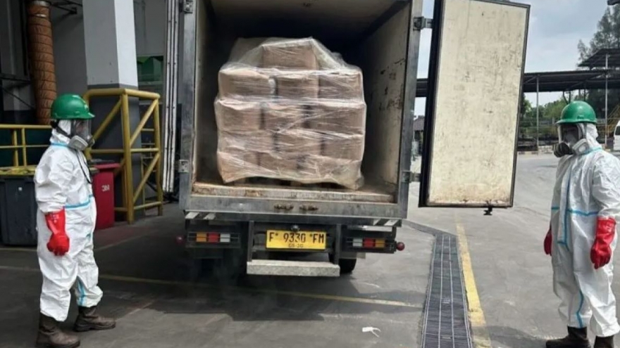 Indonesia tiêu hủy gần 6 tấn tôm nhiễm phóng xạ sau cảnh báo của Mỹ