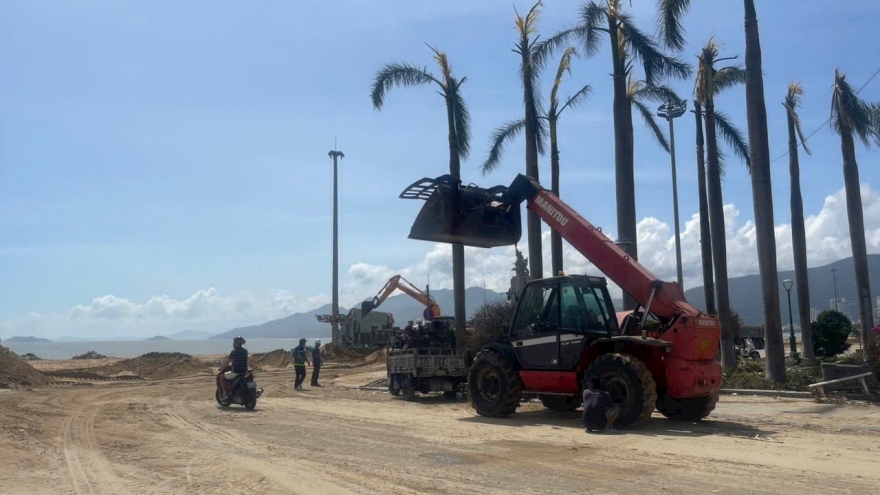 Gia Lai khẩn trương dọn dẹp, khắc phục hậu quả sau bão dữ