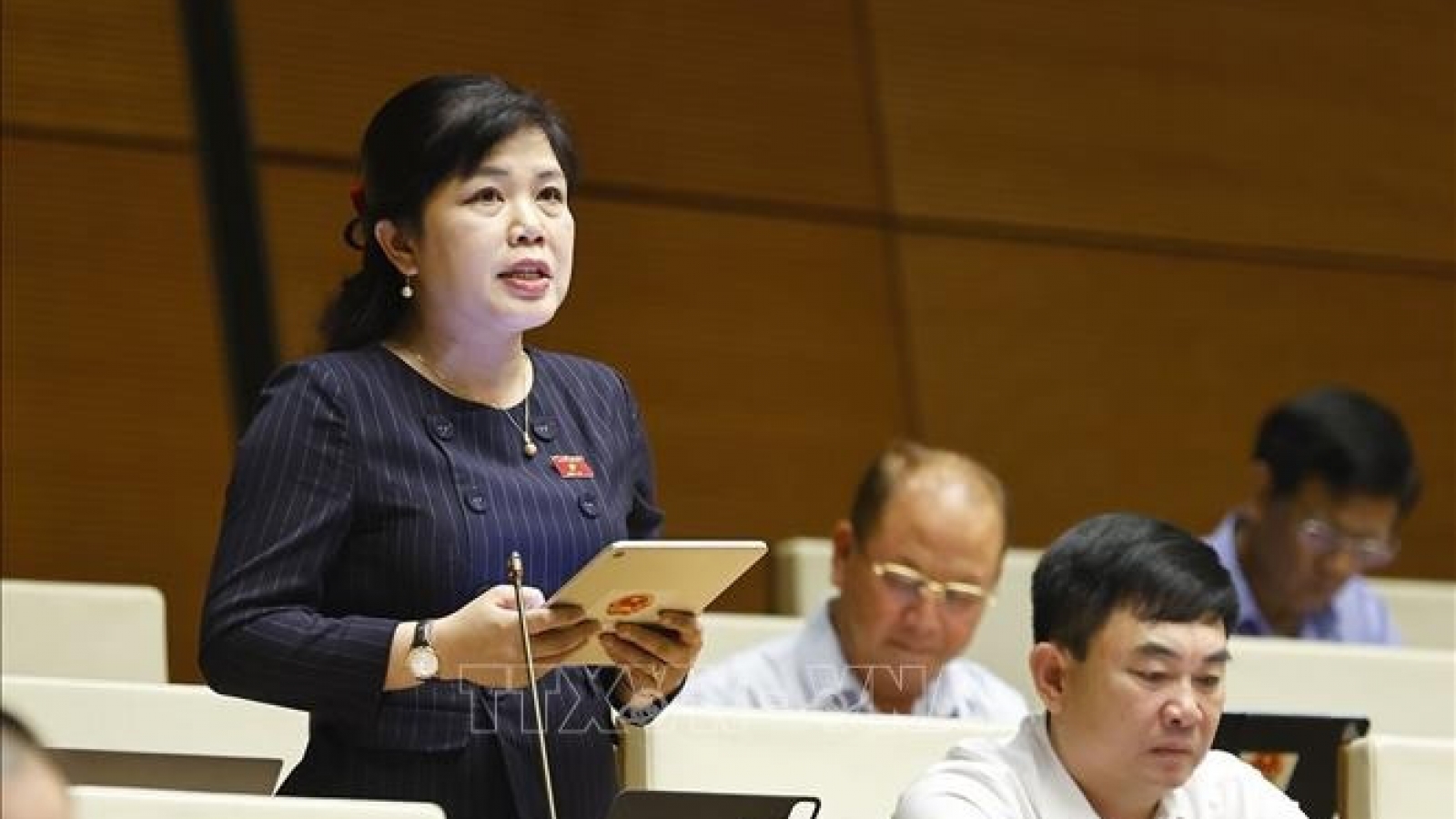 Lawmakers call for post-implementation review in technology transfer
