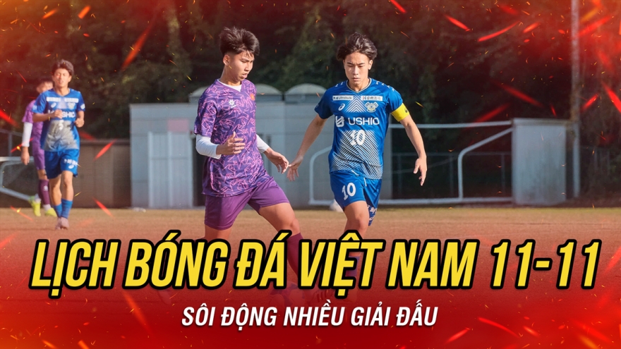 Lịch thi đấu và trực tiếp bóng đá Việt Nam hôm nay 11/11