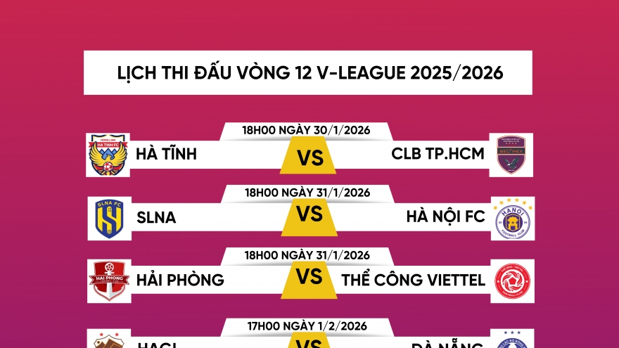 Lịch thi đấu vòng 12 V-League 2025/2026: CAHN đại chiến Ninh Bình