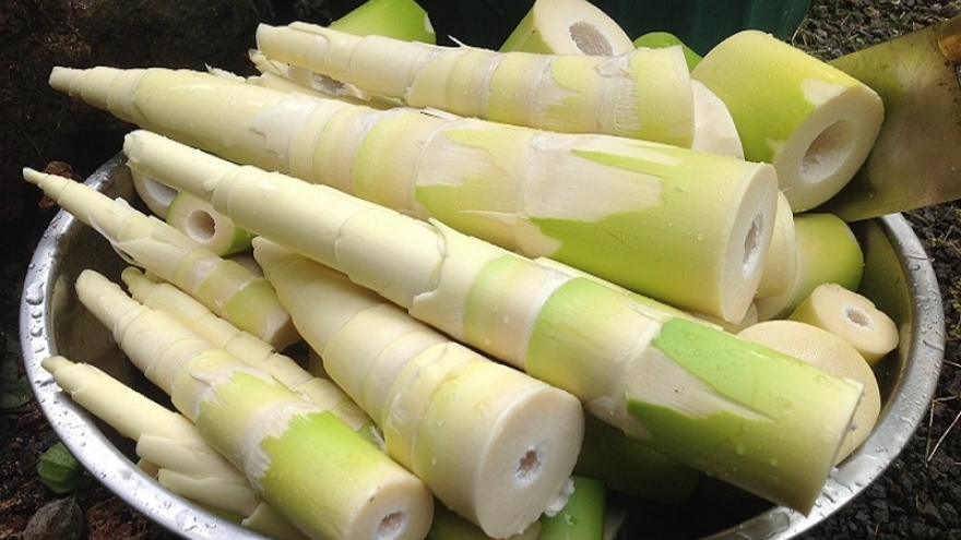 Ăn măng đúng cách để tránh ngộ độc: Những lưu ý cần nhớ