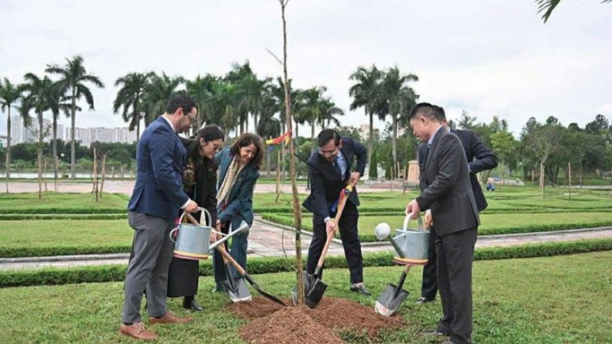 Colombia presents 25 monkeypod trees to Hanoi