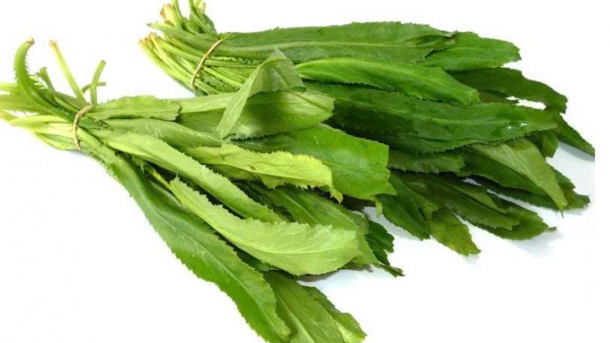 Lợi ích của rau mùi tàu và những lưu ý khi sử dụng