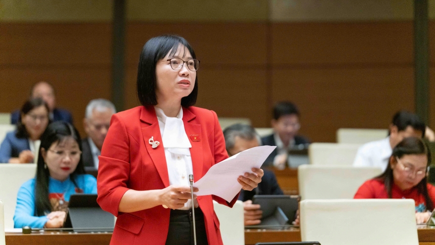 ĐBQH: Luật cần làm rõ phạm vi cấm viên chức tham gia kinh doanh ngoài công lập